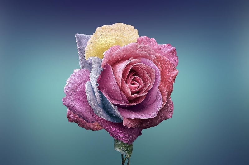 Blooming Romance